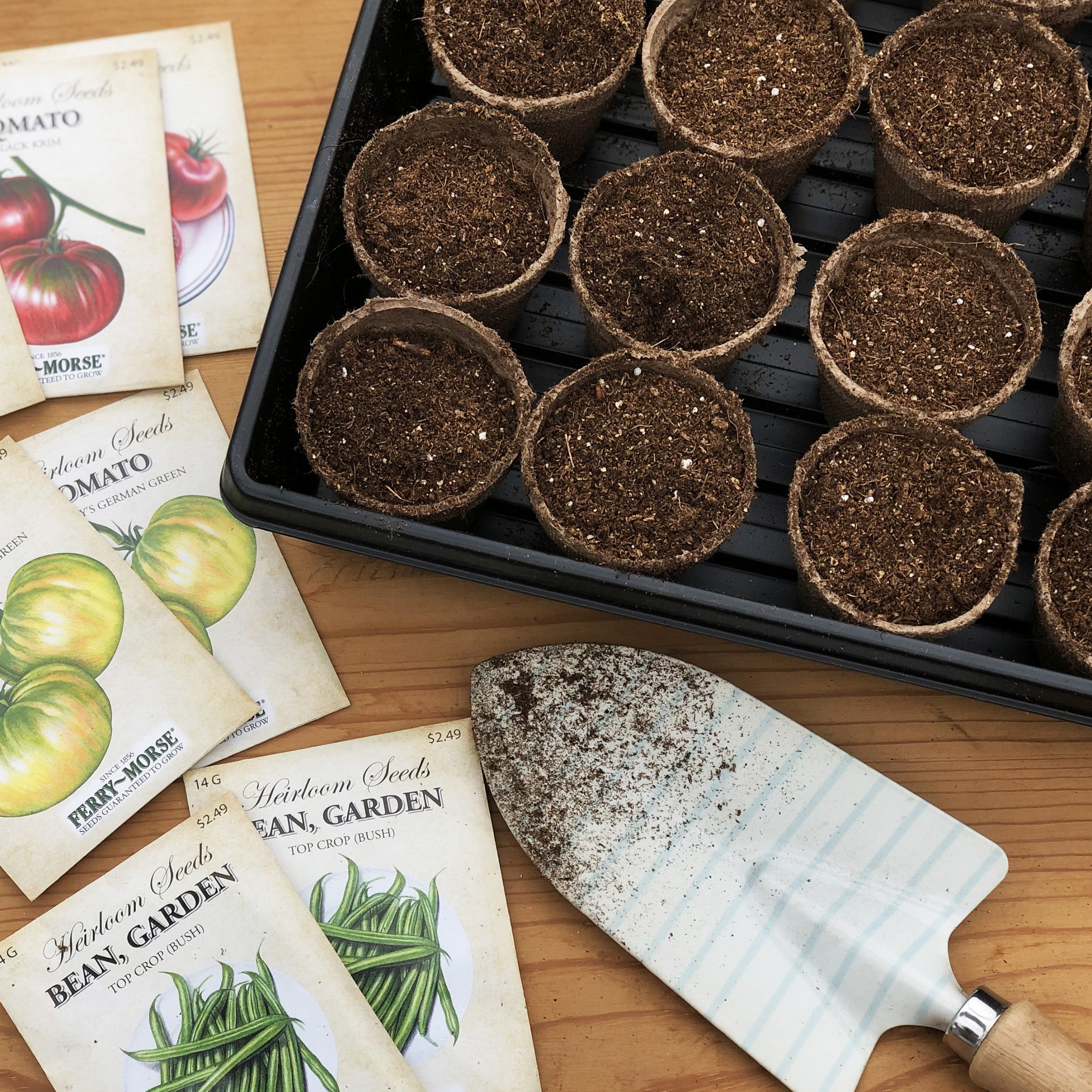 Tray with peat pots and seeds